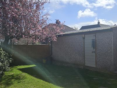 Picture 31